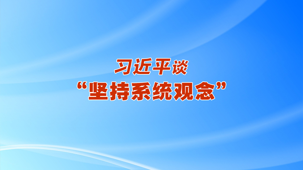 习近平谈“坚持系统观念”