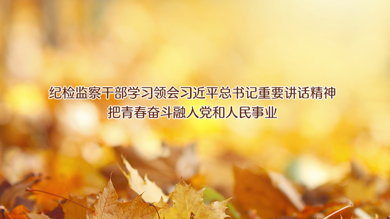 纪检监察干部学习领会习近平总书记重要讲话精神 把青春奋斗融入党和人民事业