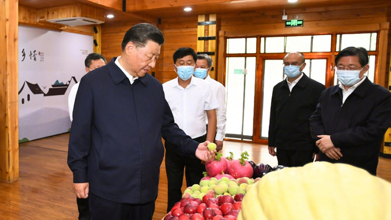 习近平在承德市考察调研