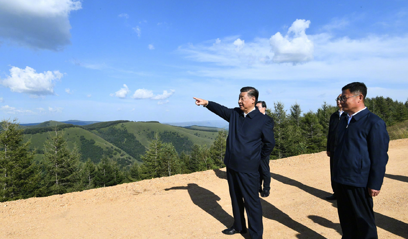 习近平在塞罕坝机械林场考察调研