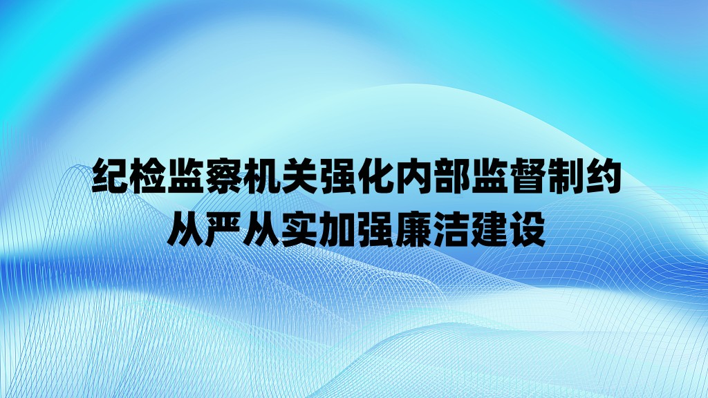 纪检监察机关强化内部监督制约 从严从实加强廉洁建设