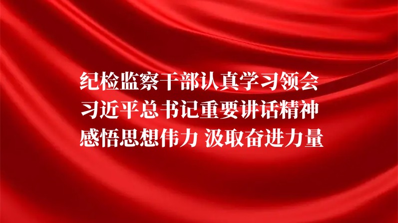 纪检监察干部认真学习领会习近平总书记重要讲话精神 感悟思想伟力 汲取奋进力量