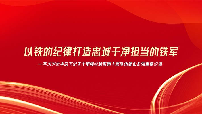 以铁的纪律打造忠诚干净担当的铁军——学习习近平总书记关于加强纪检监察干部队伍建设系列重要论述