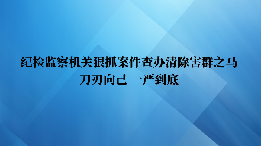 纪检监察机关狠抓案件查办清除害群之马 刀刃向己 一严到底