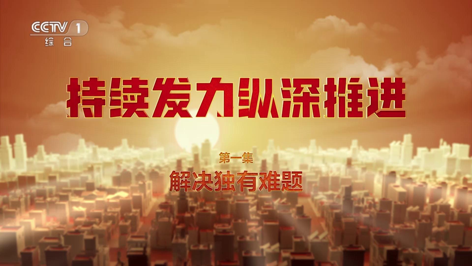电视专题片《持续发力 纵深推进》第一集《解决独有难题》