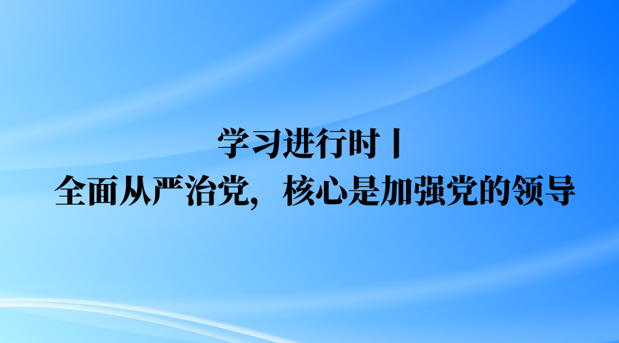 学习进行时丨全面从严治党，核心是加强党的领导（二）