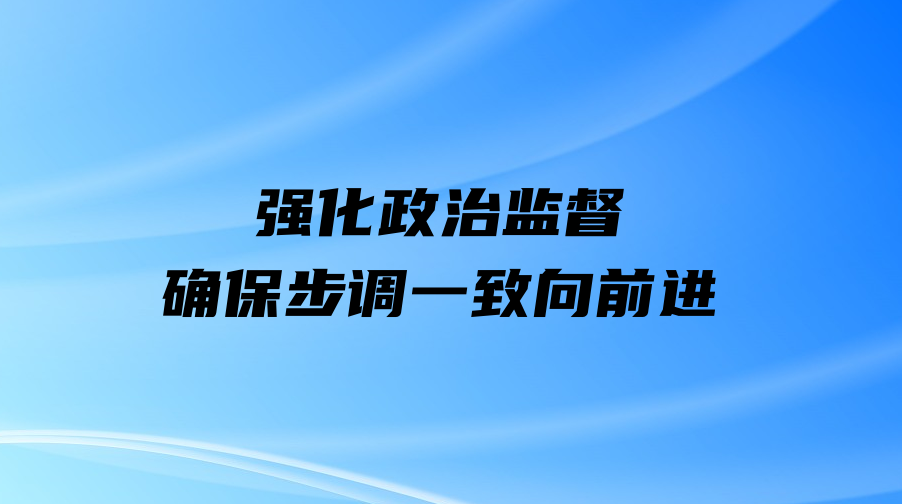 强化政治监督 确保步调一致向前进