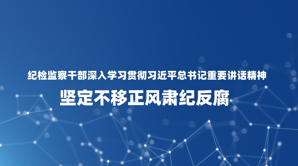 纪检监察干部深入学习贯彻习近平总书记重要讲话精神 坚定不移正风肃纪反腐
