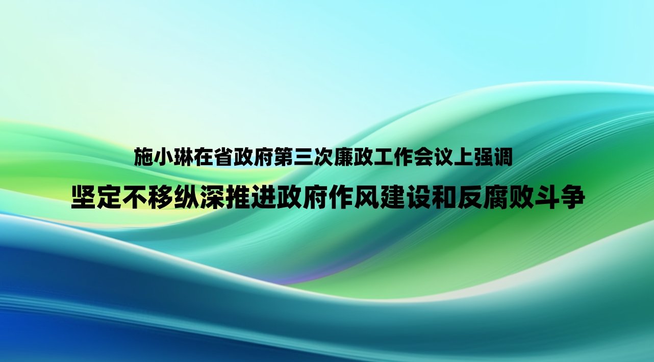 施小琳在省政府第三次廉政工作会议上强调 坚定不移纵深推进政府作风建设和反腐败斗争
