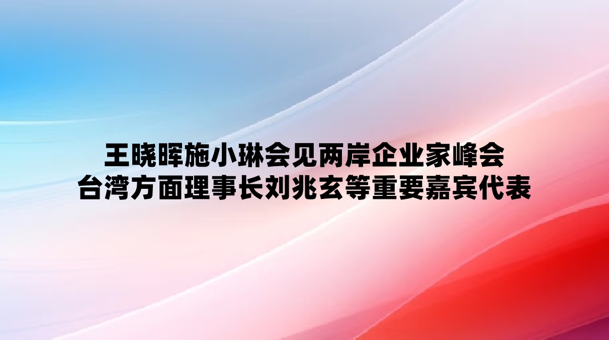 王晓晖施小琳会见两岸企业家峰会台湾方面理事长刘兆玄等重要嘉宾代表