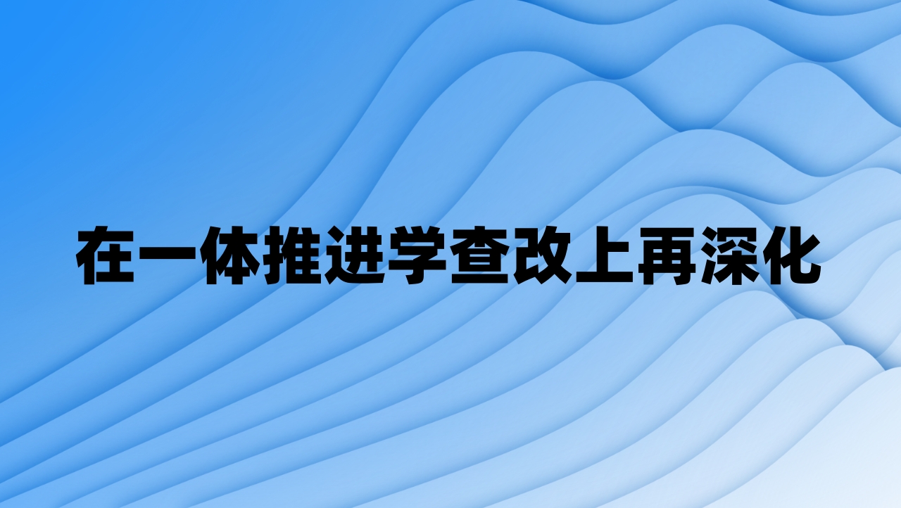 在一体推进学查改上再深化