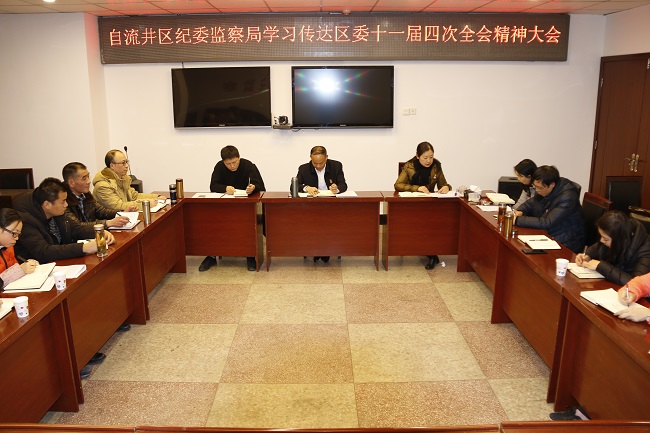 区纪委监察局机关传达学习区委十一届四次全会精神