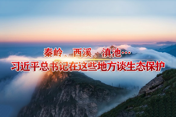 秦岭、西溪、滇池…习近平总书记在这些地方谈生态保护