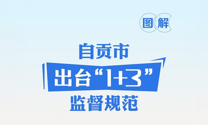 【图解】自贡市出台“1+3”监督规范
