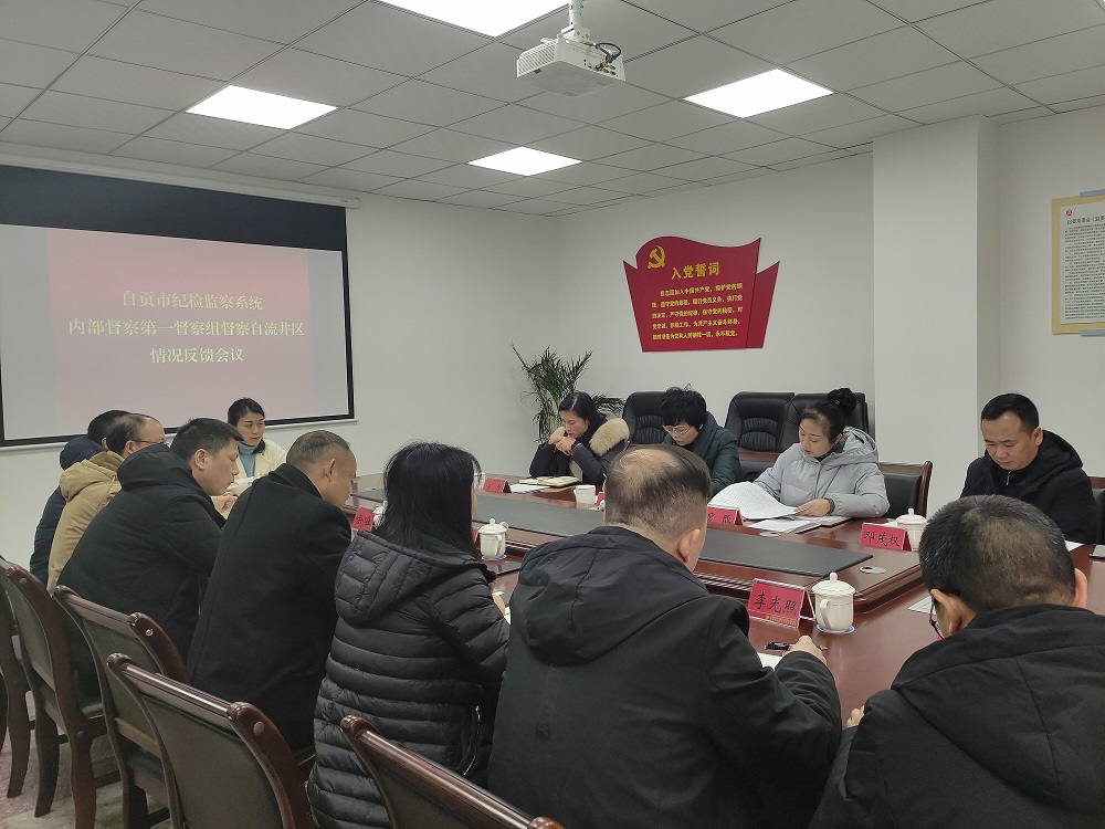 自贡市纪检监察系统内部督察第一督察组向自流井区纪委监委反馈督察情况