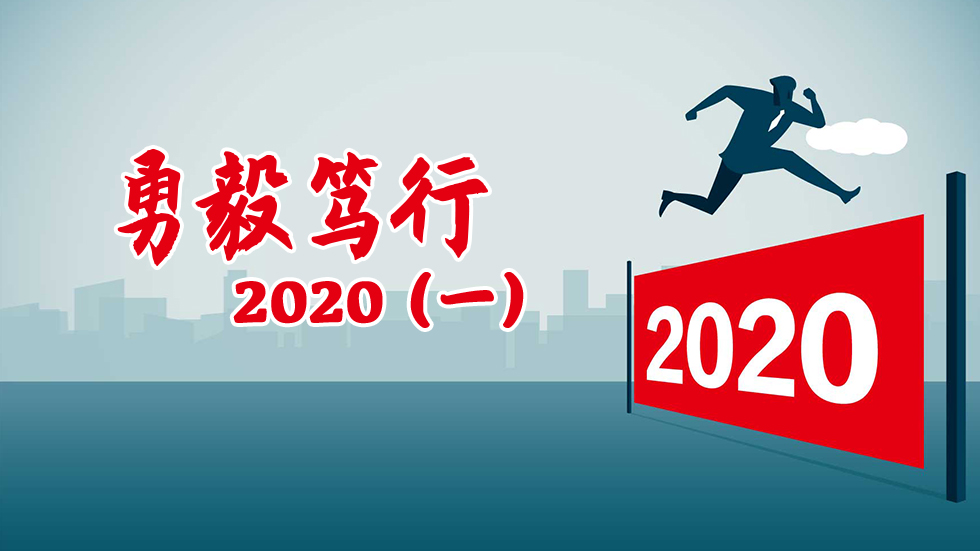 勇毅笃行2020①聚焦“两个维护” 强化政治监督