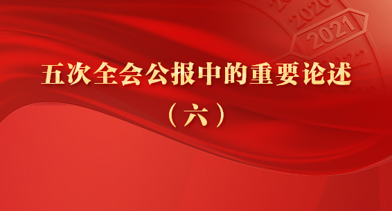 海报丨五次全会公报中的重要论述⑥  2021年纪检监察工作8项任务