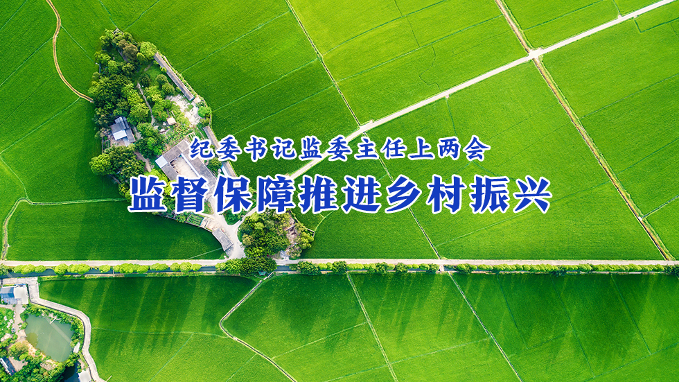 纪委书记监委主任上两会 | 监督保障推进乡村振兴
