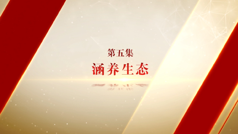 《勇毅笃行》最后一集上线！收受5000万元的“一把手”、前“腐”后继的两任县委书记、双双落马的亲兄弟……