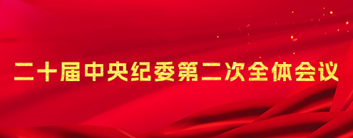 中国共产党第十九届中央委员会第六次全体会议