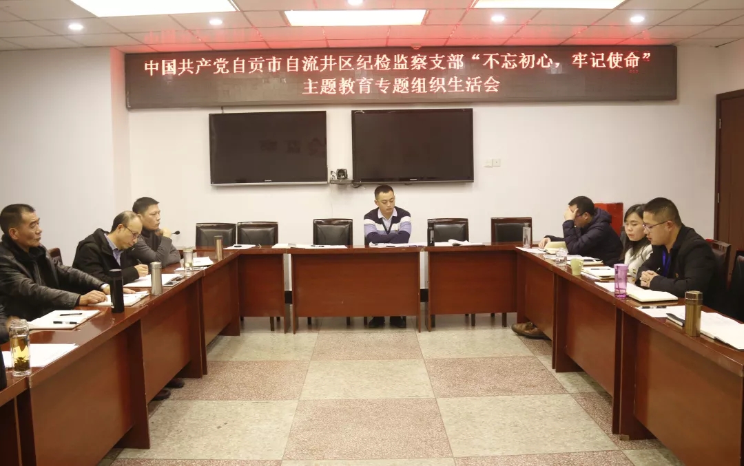 区纪检监察支部召开“不忘初心、牢记使命”主题教育专题组织生活会