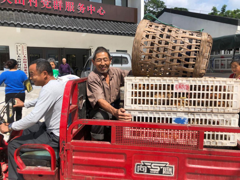 区纪委监委：精准帮扶助力贫困户增收致富